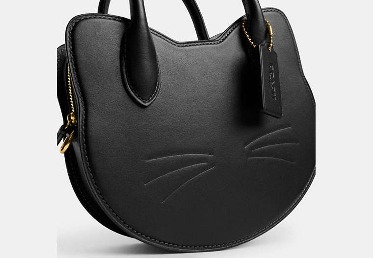 Cat Bag