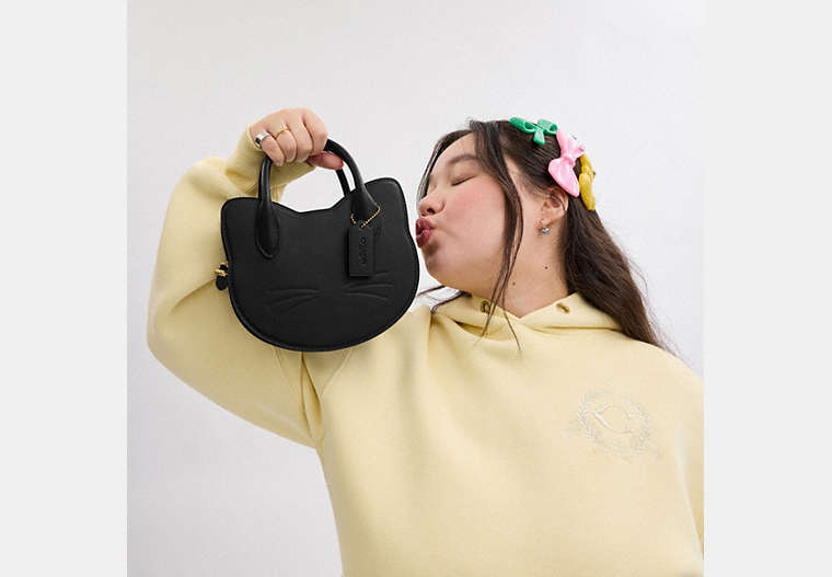 Cat Bag