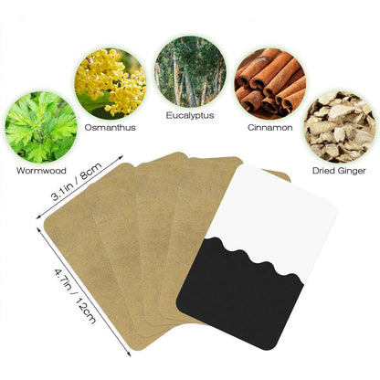 https://cdn.shopify.com/s/files/1/0654/9481/0880/files/spp_shopify20251202185918_beb9b150beba6ce982656eac0e8d1e9c_110f05b7-7908-4177-9b9e-ad963ac7df23.jpg?v=1768553042